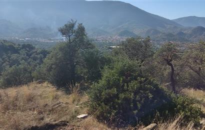 MUĞLA MİLAS BAFA'DA MANZARASI GÜZEL KÖYE YAKIN 10.252 M2 ZEYTİNLİK