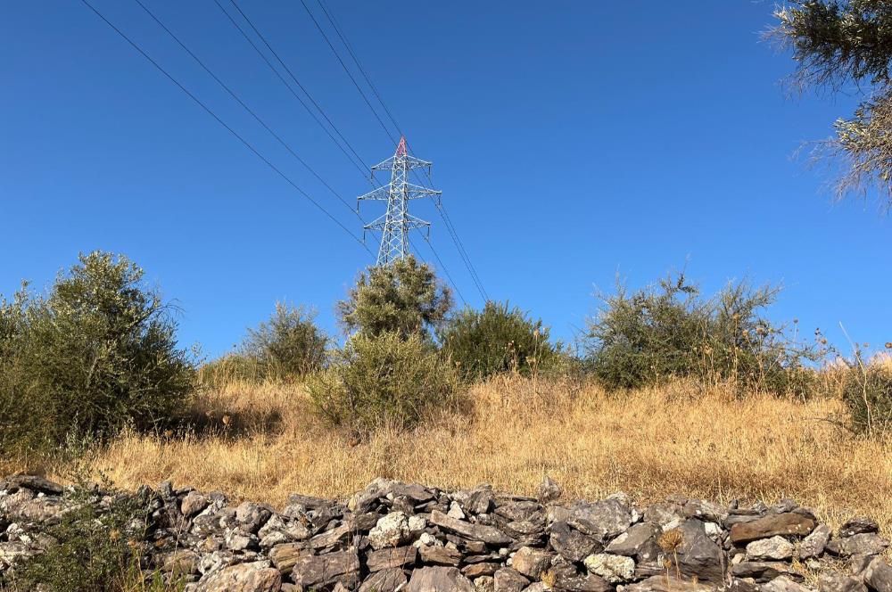 BODRUM GÖKPINAR SU VE ELEKTRİK İMKANI OLAN SATILIK ZEYTİNLİK