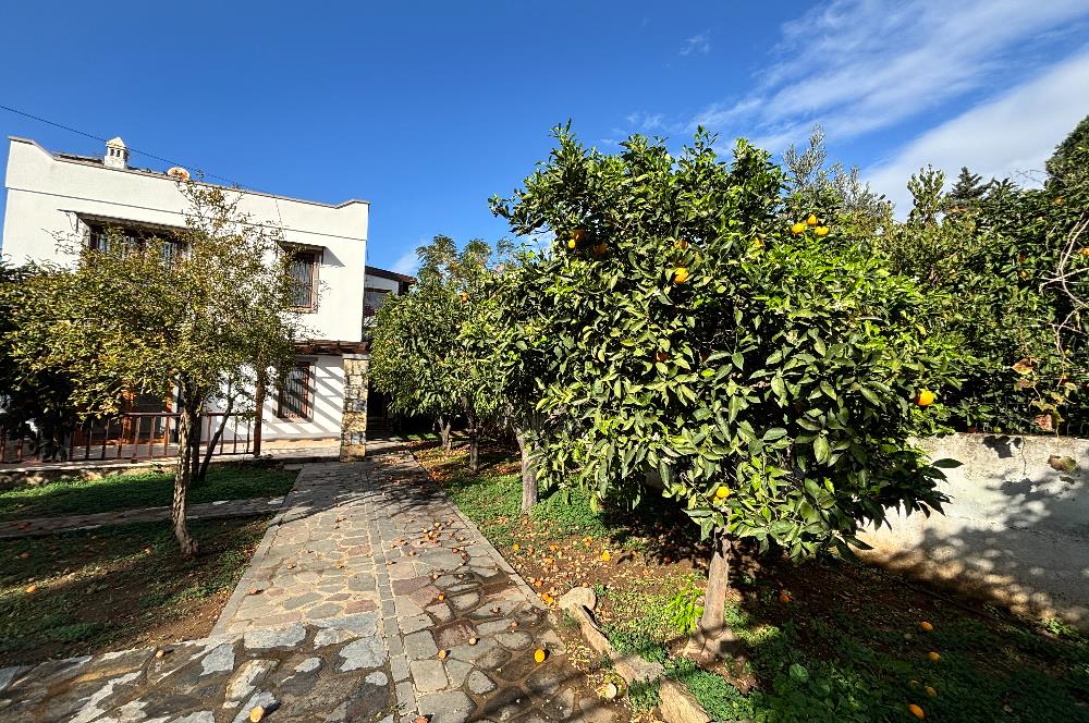 BODRUM KADIKALESİNDE DENİZE YÜRÜME MESAFESİNDE MEYVE AĞAÇLARI İÇERİSİNDE  MÜSTAKİL VİLLA