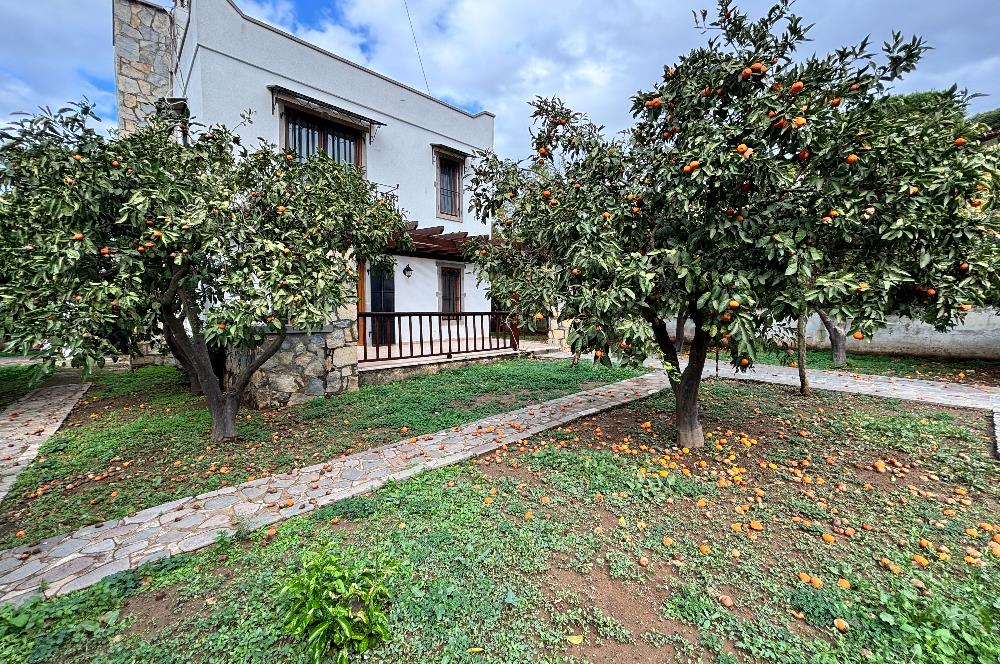 BODRUM KADIKALESİNDE DENİZE YÜRÜME MESAFESİNDE MEYVE AĞAÇLARI İÇERİSİNDE  MÜSTAKİL VİLLA