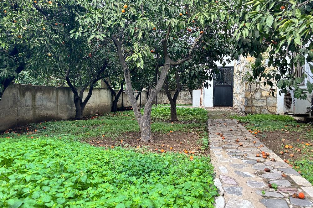 BODRUM KADIKALESİNDE DENİZE YÜRÜME MESAFESİNDE MEYVE AĞAÇLARI İÇERİSİNDE  MÜSTAKİL VİLLA
