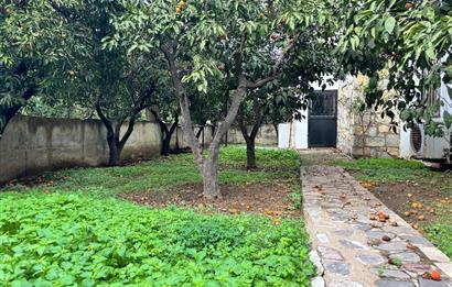 BODRUM KADIKALESİNDE DENİZE YÜRÜME MESAFESİNDE MEYVE AĞAÇLARI İÇERİSİNDE  MÜSTAKİL VİLLA