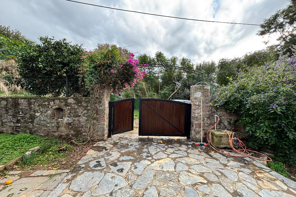 BODRUM KADIKALESİNDE DENİZE YÜRÜME MESAFESİNDE MEYVE AĞAÇLARI İÇERİSİNDE  MÜSTAKİL VİLLA