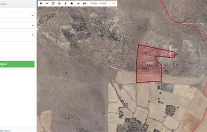 CENTURY21 PLUS SANDIKLI KARADİREK KÖYÜNDE SATILIK TARLA