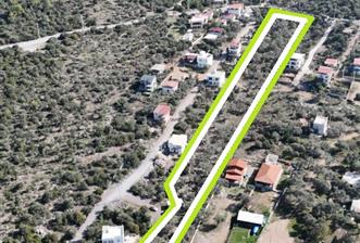 Muğla Milas Papaz Koyunda Satılık 8.087 M2 Dönüm Zeytinlik  - 5 - 31501