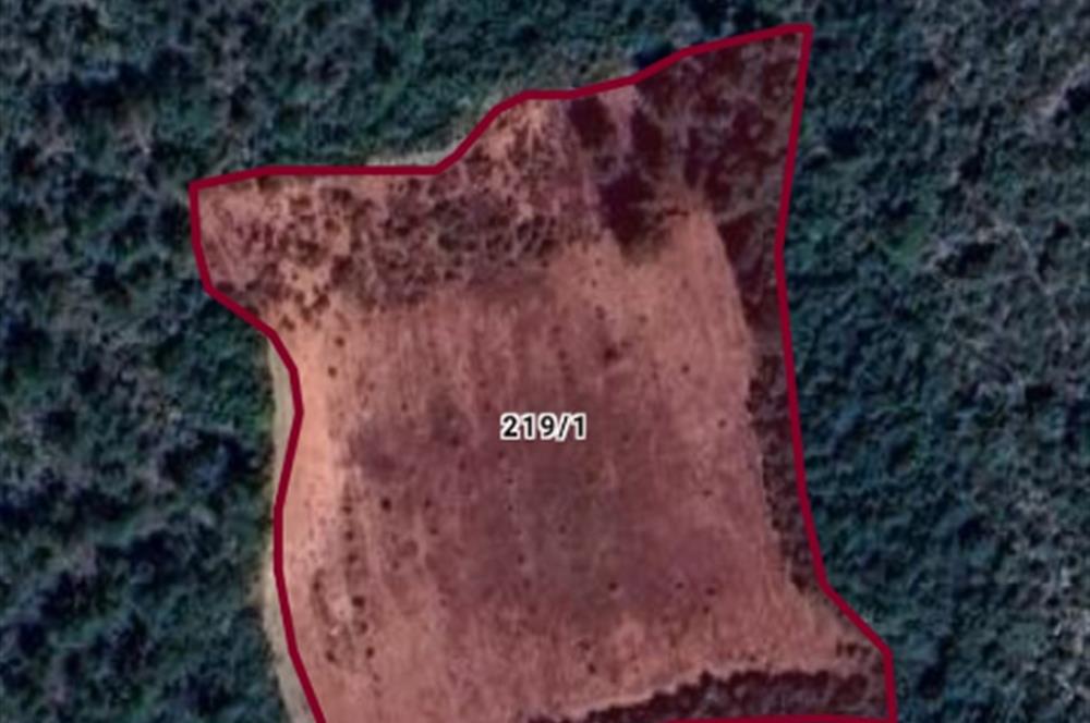 BİLECİK OSMANELİDE HEM YATIRIMLIK HEM VERİMLİ TARLA