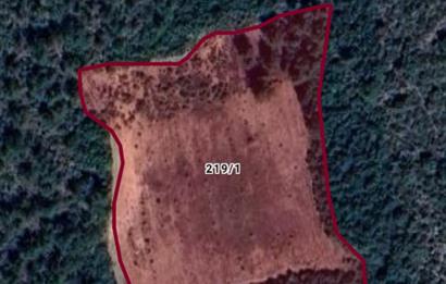 BİLECİK OSMANELİDE HEM YATIRIMLIK HEM VERİMLİ TARLA