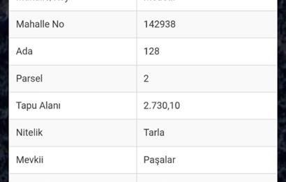 BİLECİK SAKARYA NEHRİNE YAKIN, VERİMLİ TOPRAĞA SAHİP YATIRIMLIK TARLA