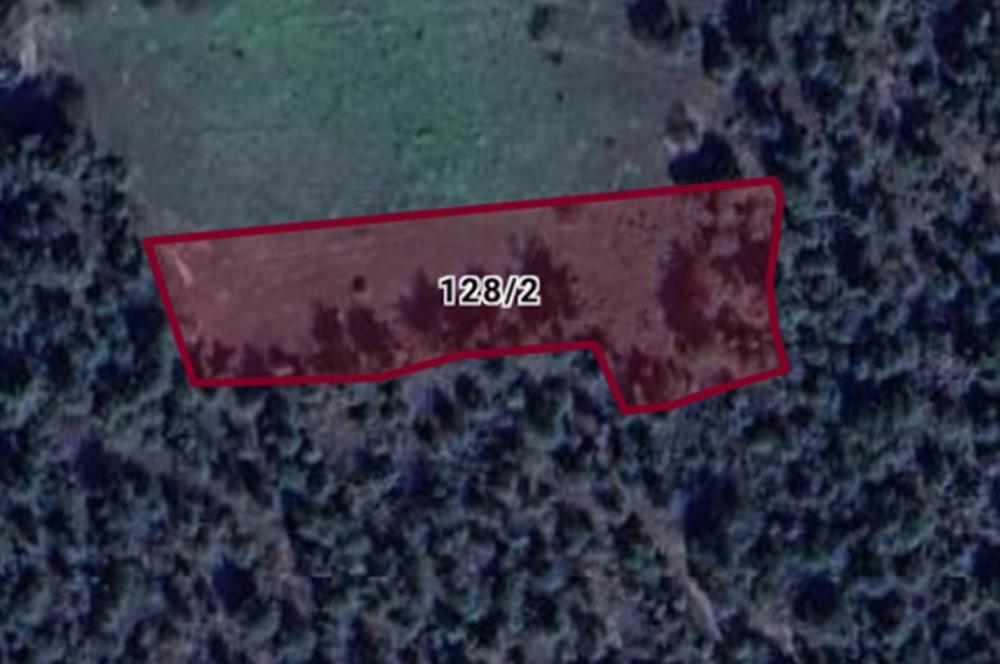 BİLECİK SAKARYA NEHRİNE YAKIN, VERİMLİ TOPRAĞA SAHİP YATIRIMLIK TARLA