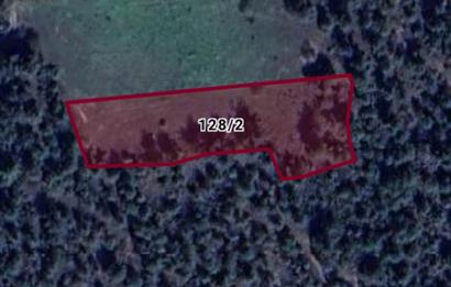 BİLECİK SAKARYA NEHRİNE YAKIN, VERİMLİ TOPRAĞA SAHİP YATIRIMLIK TARLA