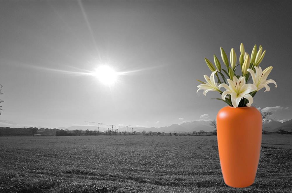 C21 LOFT'tan Yeni Oyun Alanınız, 6.070 m² Villalık Arsa