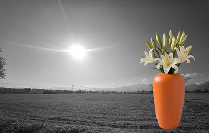 C21 LOFT'tan Yeni Oyun Alanınız, 6.070 m² Villalık Arsa