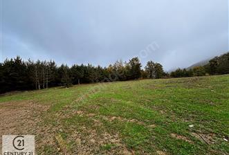 C21 CİUS; İZNİK ELMALIDA BUNGALOV İÇİN UYGUN SATILIK TARLA - 7 - 31520