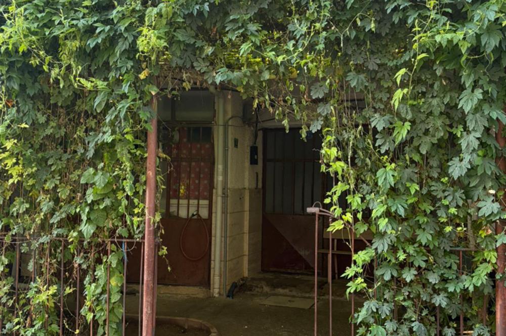 C21 Cius; Perşembe Pazarı Civarında 2+1 Fırsat Daire