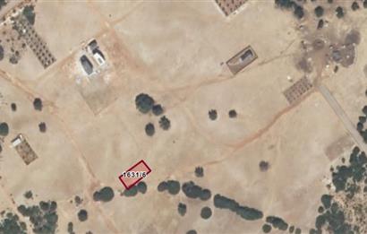 C21 LOFT'tan Didim Akyeniköy Bozsekide Villa İmarlı 300m² Arsa