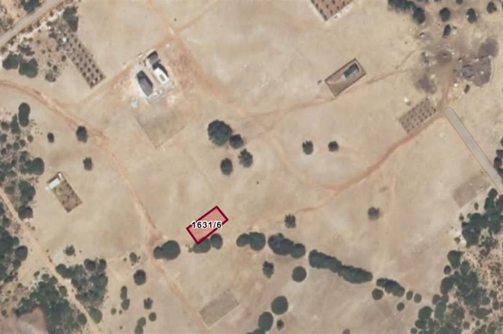 C21 LOFT'tan Didim Akyeniköy Bozsekide Villa İmarlı 300m² Arsa