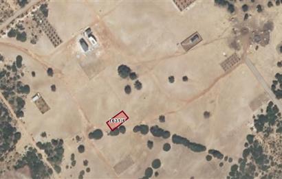 C21 LOFT'tan Didim Akyeniköy Bozsekide Villa İmarlı 300m² Arsa