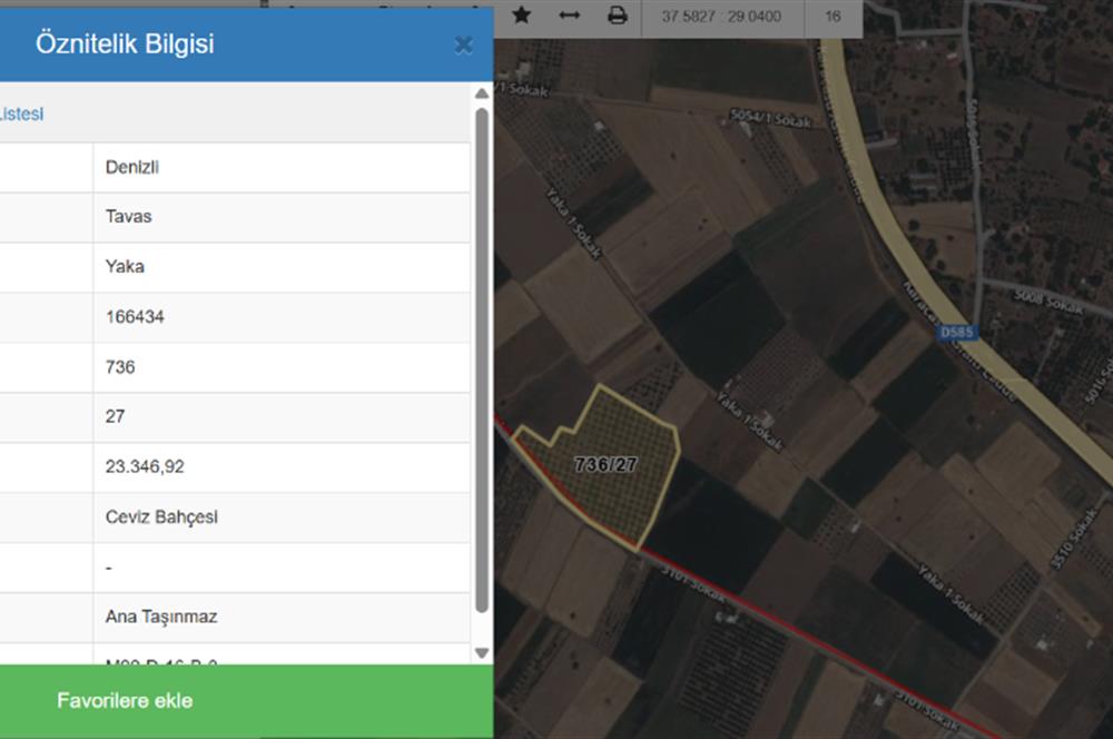 C21 LOFT'tan Denizli Tavasta Yüksek Verimli, Ceviz Bahçesi