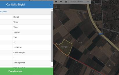 C21 LOFT'tan Denizli Tavasta Yüksek Verimli, Ceviz Bahçesi