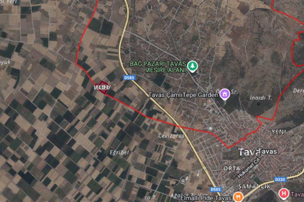 C21 LOFT'tan Denizli Tavasta Yüksek Verimli, Ceviz Bahçesi