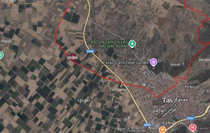 C21 LOFT'tan Denizli Tavasta Yüksek Verimli, Ceviz Bahçesi