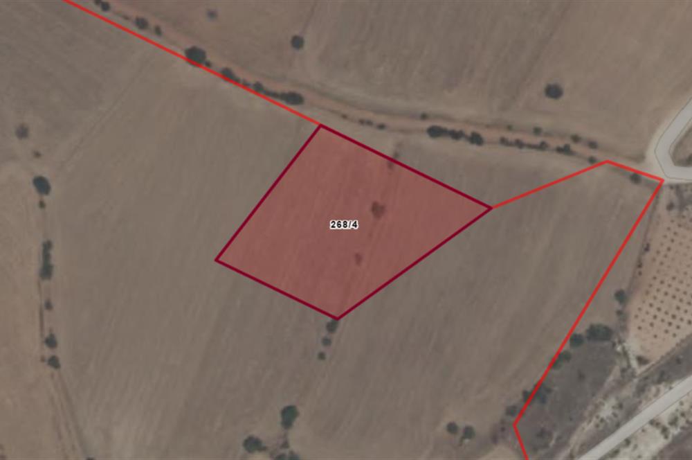 C21 LOFT'tan Yeni Oyun Alanınız, 6.070 m² Villalık Arsa