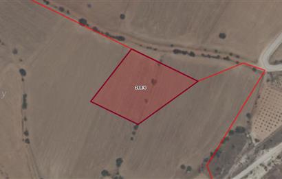 C21 LOFT'tan Yeni Oyun Alanınız, 6.070 m² Villalık Arsa