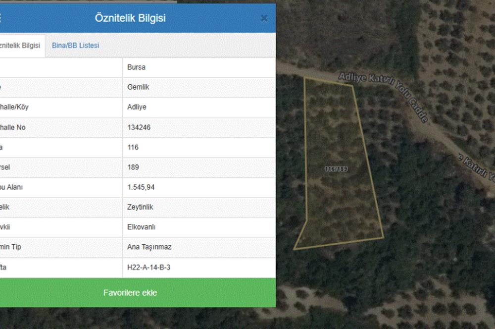 GEMLIK'DE SATILIK ZEYTINLIK YATIRIMLIK