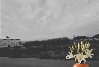 C21 LOFT'tan Sanayinin En Değerli Noktasında Stratejik Arsa - 1 - 31528