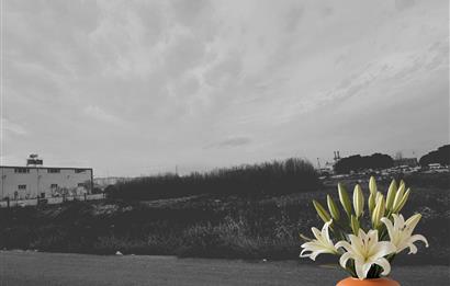 C21 LOFT'tan Sanayinin En Değerli Noktasında Stratejik Arsa