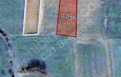 Muğla Milas Kuzyaka’da Satılık 471 M2 Tarla