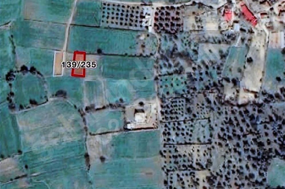 Muğla Milas Kuzyaka’da Satılık 471 M2 Tarla