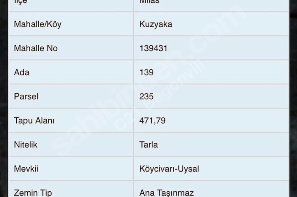 Muğla Milas Kuzyaka’da Satılık 471 M2 Tarla