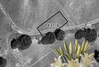 C21 LOFT'tan Didim Akyeniköy Bozsekide Villa İmarlı 300m² Arsa - 2 - 31977