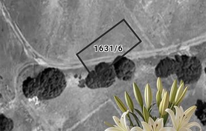 C21 LOFT'tan Didim Akyeniköy Bozsekide Villa İmarlı 300m² Arsa