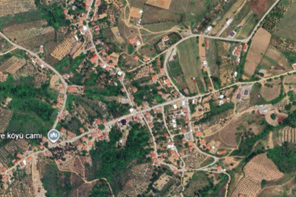 GEMLIK'DE SATILIK ZEYTINLIK YATIRIMLIK