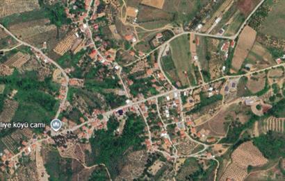 GEMLIK'DE SATILIK ZEYTINLIK YATIRIMLIK