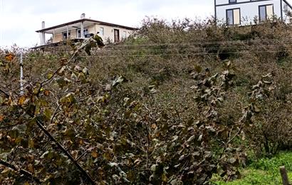 Düzce Akçakoca Yatırımlık Arsa