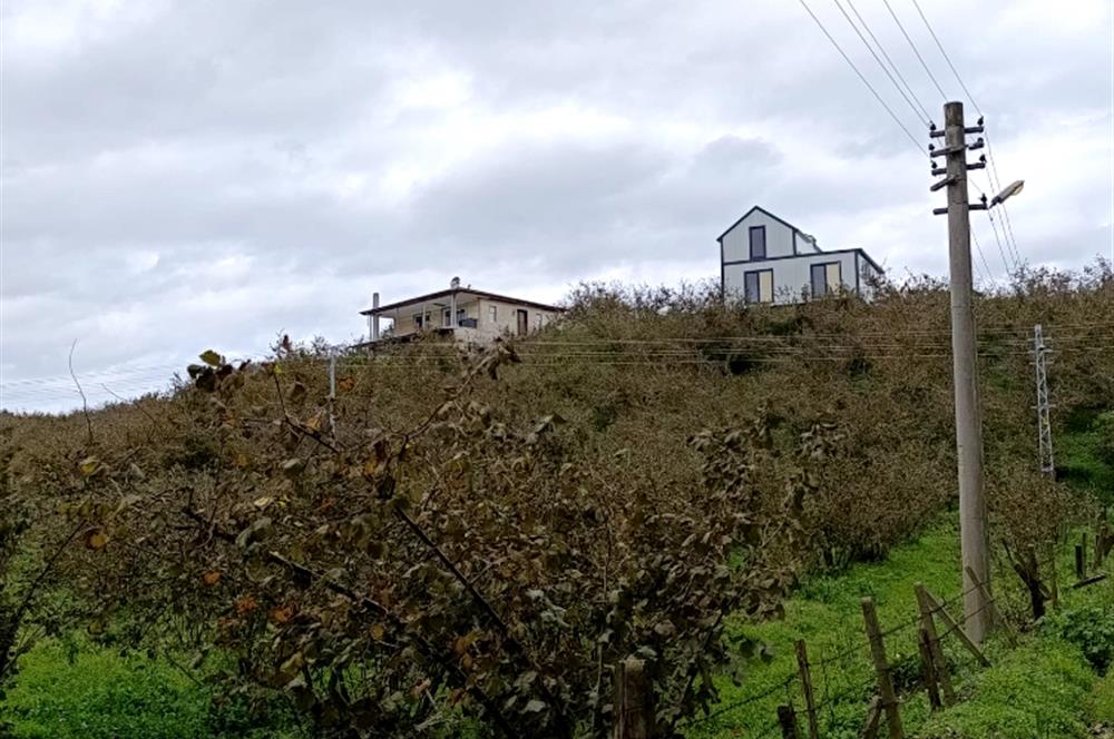 Düzce Akçakoca Yatırımlık Arsa