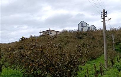 Düzce Akçakoca Yatırımlık Arsa