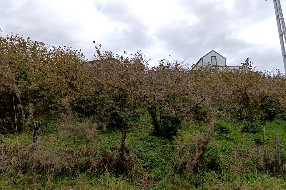 Düzce Akçakoca Yatırımlık Arsa