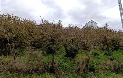 Düzce Akçakoca Yatırımlık Arsa