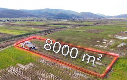 C21 LOCA GÖKÇEYAZI'DA ŞAHANE AHŞAP ÇİFTLİK EVİ VE MEYVE BAHÇESİ