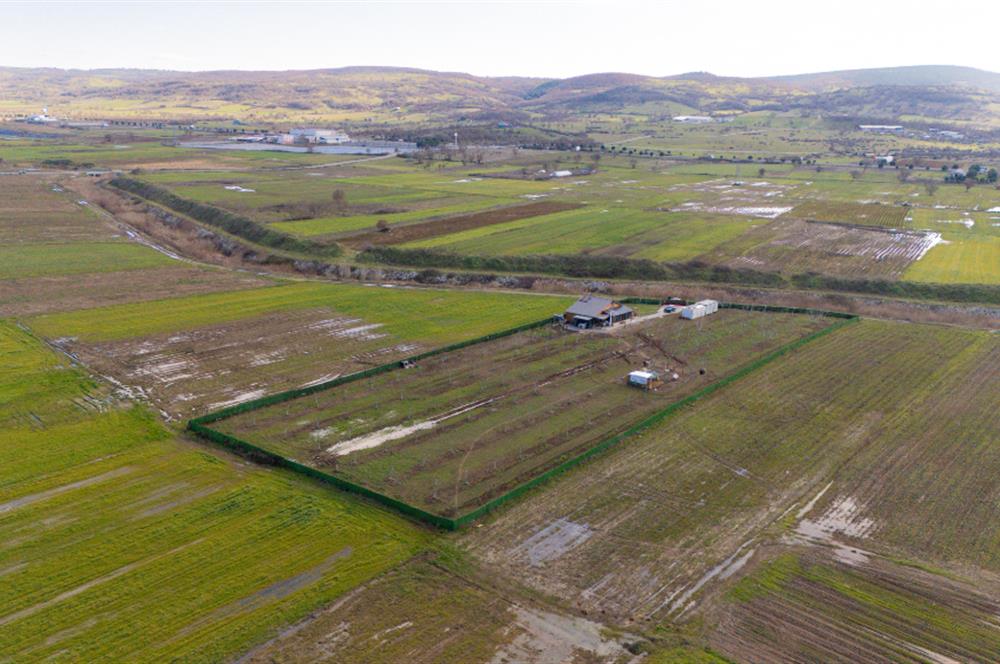 C21 LOCA GÖKÇEYAZI'DA ŞAHANE AHŞAP ÇİFTLİK EVİ VE MEYVE BAHÇESİ