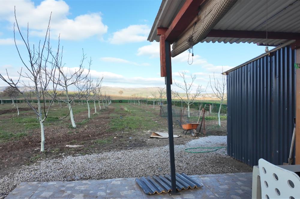 C21 LOCA GÖKÇEYAZI'DA ŞAHANE AHŞAP ÇİFTLİK EVİ VE MEYVE BAHÇESİ