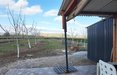C21 LOCA GÖKÇEYAZI'DA ŞAHANE AHŞAP ÇİFTLİK EVİ VE MEYVE BAHÇESİ