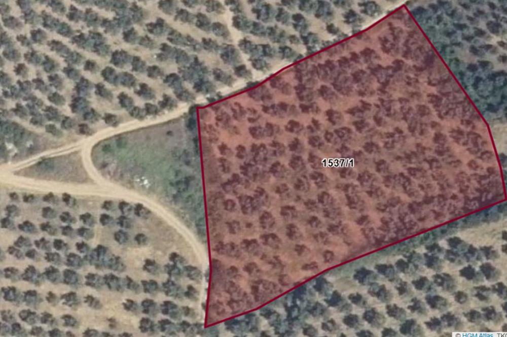 C21 Cius; Umurbey'de Kadastro Yoluna Cephe Düz Satılık 2908 m2