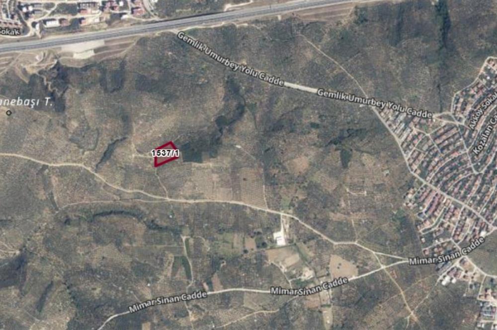 C21 Cius; Umurbey'de Kadastro Yoluna Cephe Düz Satılık 2908 m2