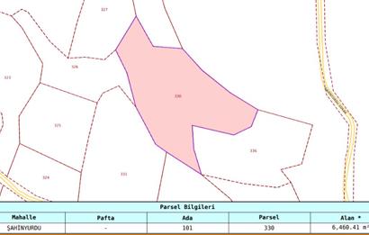 C21 Cius; Gemlik Şahinyurdu'nda En Uygun 6460m2 Tarla Satılık