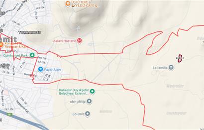 C21BAL'DAN EDREMİT GAZİİLYAS MH YOLU-SUYU OLAN SATILIK ZEYTİNLİK